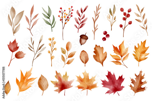 Watercolor autumn leaves clipart set. Hand painted fall foliage for scrapbooking, cards, posters & invitations