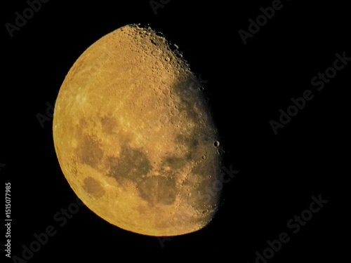 Fototapeta Naklejka Na Ścianę i Meble -  luna