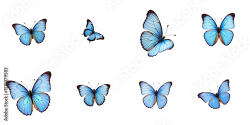 Collection of various blue butterflies featuring detailed wings with light blue hues and intricate patterns, set against a contrasting transparent background for striking visibility.