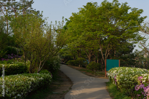 Peaceful park pathway with lush spring foliage and blooming azaleas against blue sky  Seoul  South Korea  Namsan Mountain