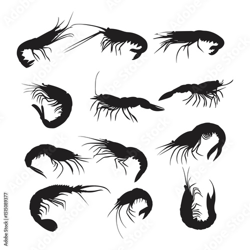 Swimming shrimp silhouette illustration, Sea lobster vector on white background