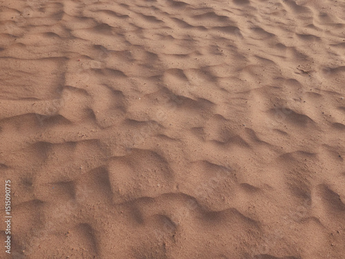 Fototapeta Naklejka Na Ścianę i Meble -  fragment of desert sand in egypt as background