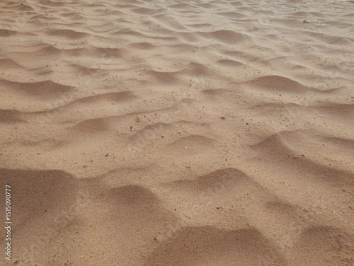 Fototapeta Naklejka Na Ścianę i Meble -  fragment of desert sand in egypt as background