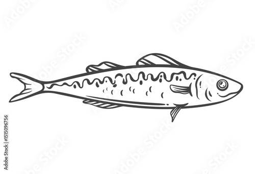 Mackerel fish outline drawing with detailed fins and smooth body curve. Monochrome hand drawn style with simple line art. Great for seafood design, markets, or packaging. Vector illustration.