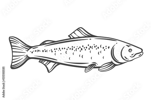 Salmon fish outline drawing in hand drawn doodle style. Detailed monochrome sketch of popular seafood for recipes, packaging, or menus. Vector illustration.