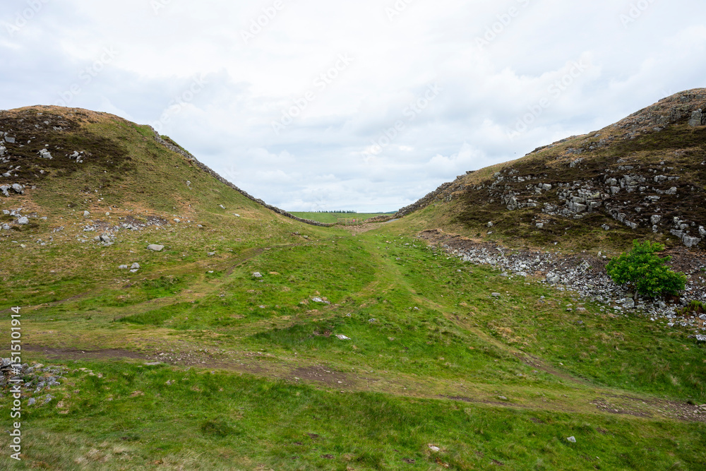 Fototapeta premium Sycamore Gap on Hadrian's Wall showing the aftermath of the tree felling, Northumberland, UK