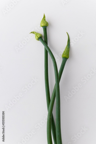 Wallpaper Mural Close-up of Fresh Green Garlic Scapes on a White Surface Torontodigital.ca