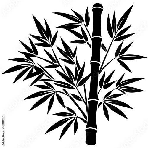 bamboo vector illustration