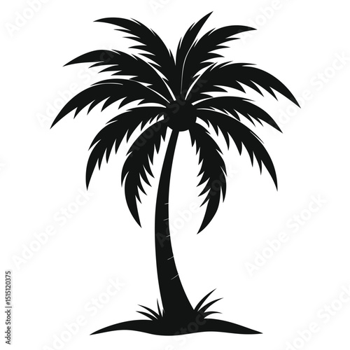 silhouette of palm tree