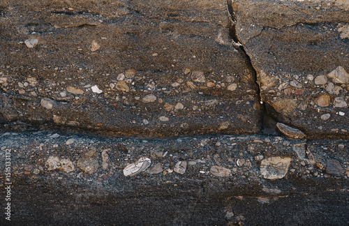 Layer of small stones inside the sedimentary rock that is conglomerate