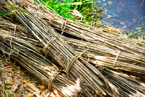 Dried brown jute stalks resting by the water's edge, Bundled Dry Reeds near Water.