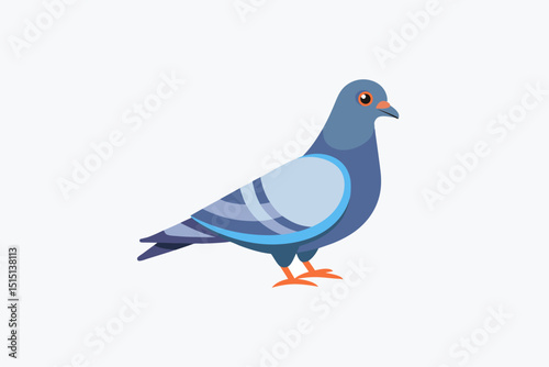 pigeon on blue