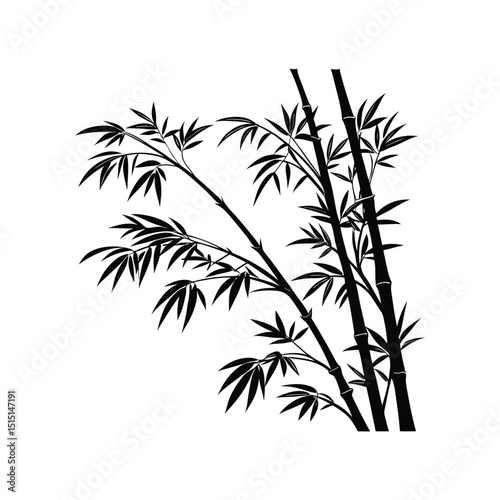 Silhouette of bamboo isolated on white background