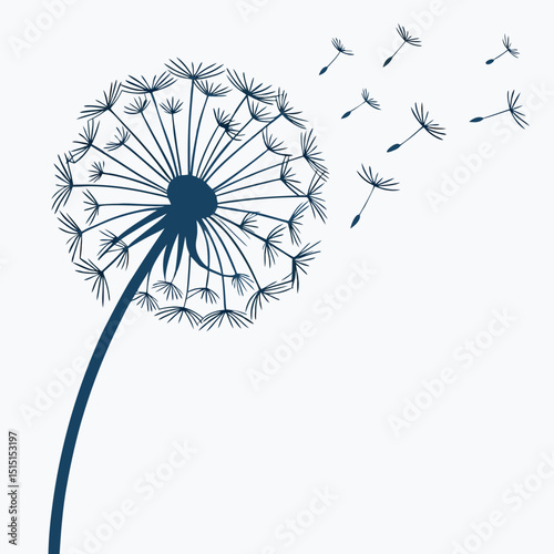 black and white dandelion 