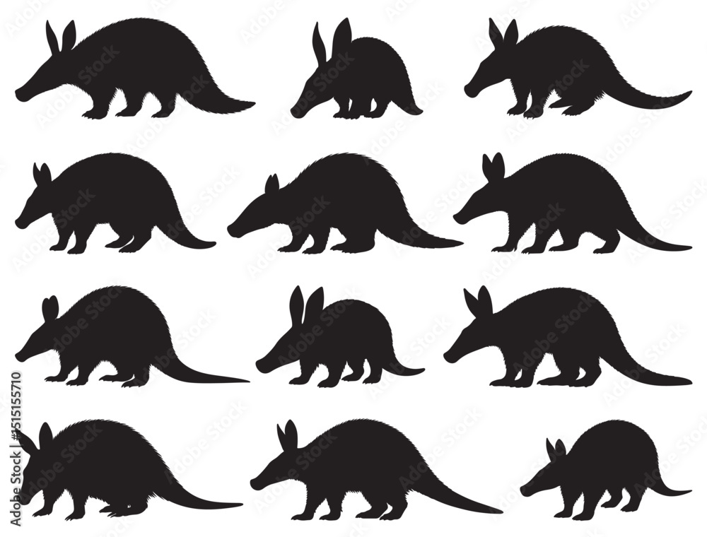 Φωτογραφία AARDVARK SILHOUETTE