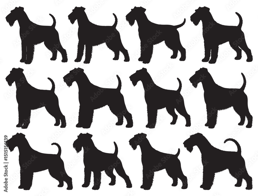 Εκτύπωση καμβά AIREDALE TERRIER DOG SILHOUETTE