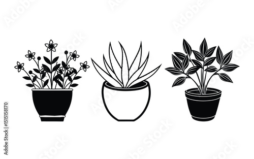Vector illustration shows isolated potted flowers, a floral houseplant in a flowerpot, representing nature's growth.