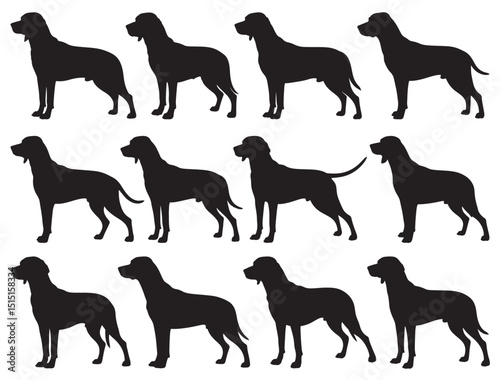 BLUETICK COONHOUND SILHOUETTE