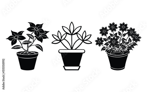 Potted flowers and a plant leaf show spring growth, isolated as a small object of nature and life.