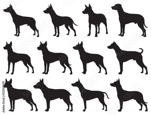 CIRNECO DELL'ETNA DOG SILHOUETTE