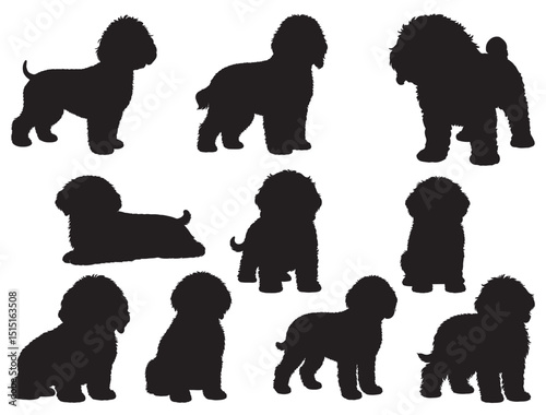 COCKAPOO DOG SILHOUETTE