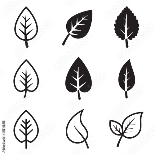 Collection of stylized leaf silhouettes illustrating nature flora organic elements and foliage designs