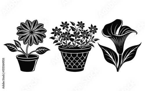 flowers in a pot