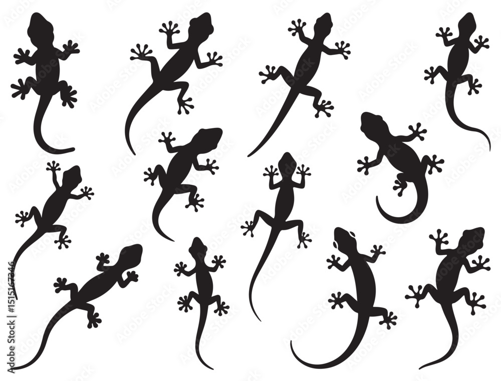 Naklejka premium GECKO SILHOUETTE