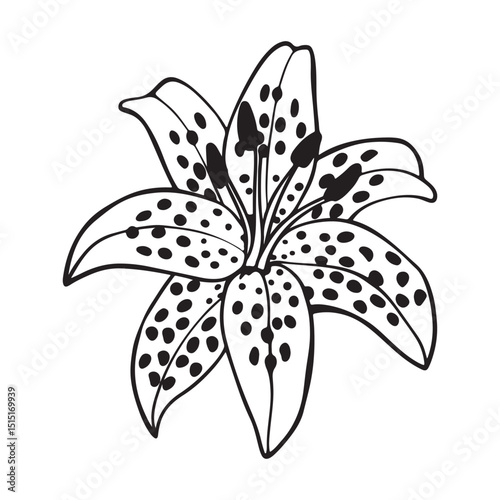 Tiger Lily Flower – Exotic Orange Bloom with Bold Spots