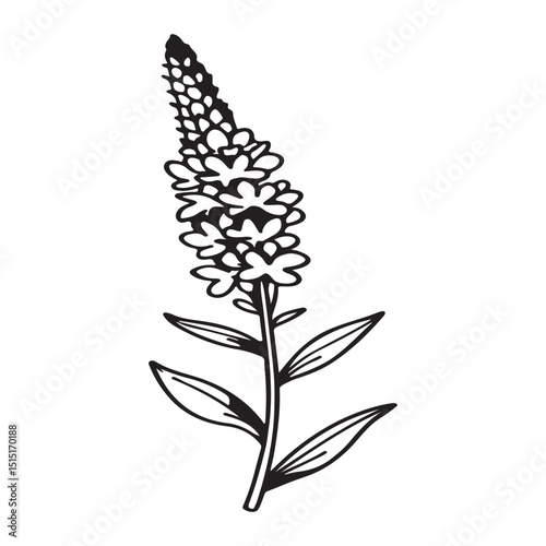 Veronica Flower – Elegant Spikes of Blue and Purple Blooms in Garden Scene