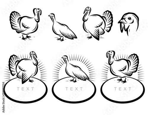 Turkey labels and icon set. Collection icons turkey. Vector