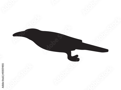 Silhouette of a crow