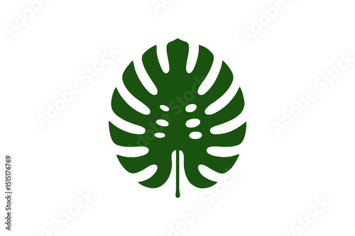 Monstera deliciosa leaf tropical plant illustration