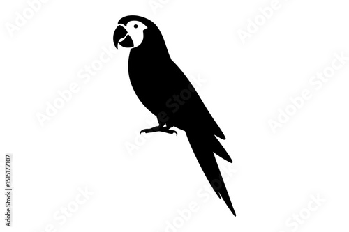 Black silhouette of a tropical parrot illustration