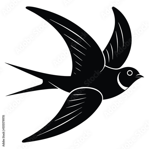 swallow vector