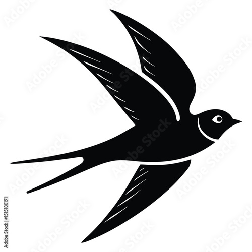 swallow vector
