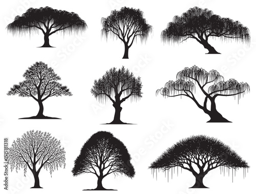 WILLOW TREE SILHOUETTE