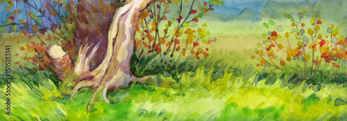 Watercolor landscape. Sunset in forest