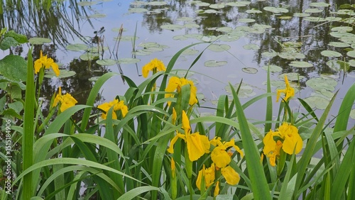 Εκτύπωση καμβά Sweden