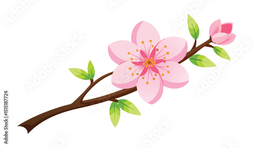 Cherry blossom branch with pink flower isolated on white background