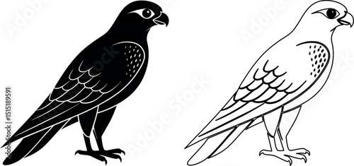 Vector Illustration of a Majestic Falcon in Flight with Detailed Feathering and Sharp Talons