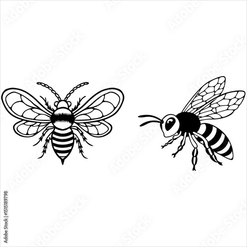 A vibrant vector illustration of diverse bee and a graceful dragonfly in a floral nature design