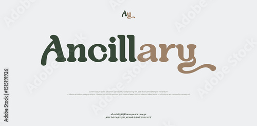 Ancillary creative modern stylish calligraphy letter logo design