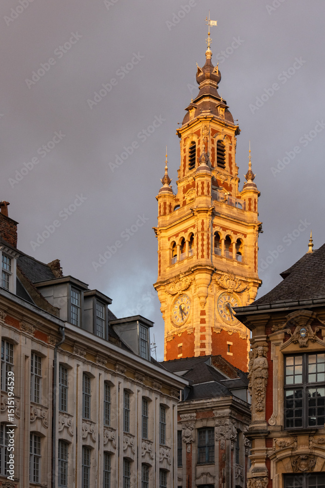 Fototapeta premium Beffroi de la chambre de commerce de lille