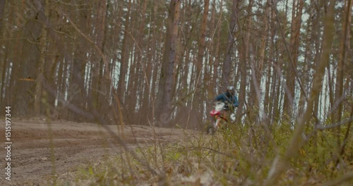 Embarking on an exhilarating OffRoad Motorcycle Adventure in a Beautifully Forested Terrain