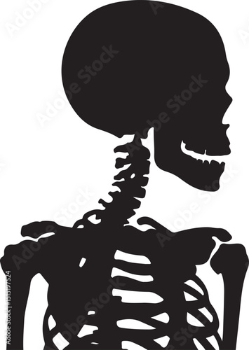 Black Silhouette of Human Brain Anatomy Illustration