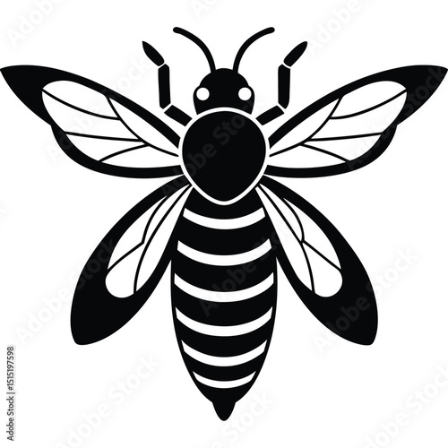 Close-up isolated macro of a honey bee on a white flower with delicate wings, ideal for nature and insect illustrations