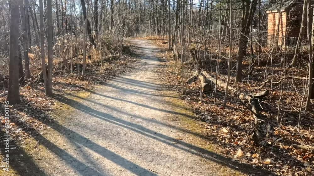 A footpath through a trail.