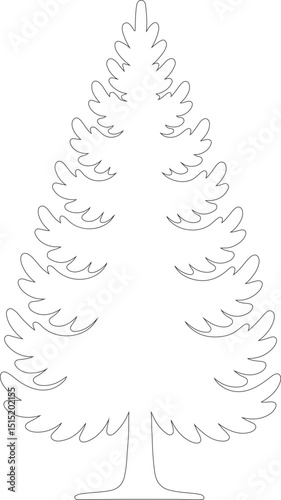 Pine fir evergreen Christmas tree vector illustration for winter holiday season celebration
