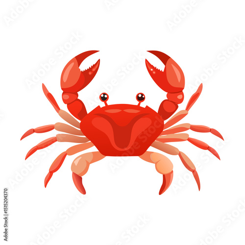Vector illustration of a powerful crab with extended pincers standing confidently on white background